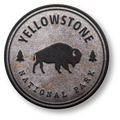 YNP Coin | Sticker image 0