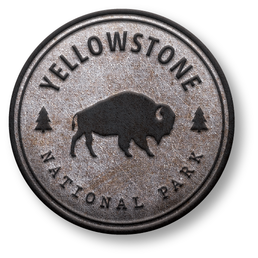 YNP Coin | Sticker image 0